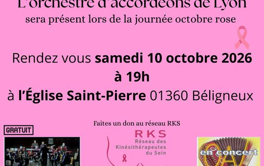 L'orchestre d'accordéons de Lyon