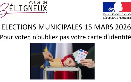 Élections municipales 