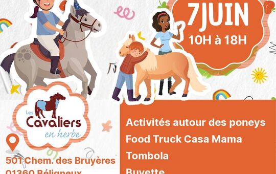 Fête du poney 
