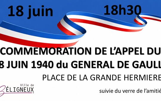 CEREMONIE COMMEMORATIVE