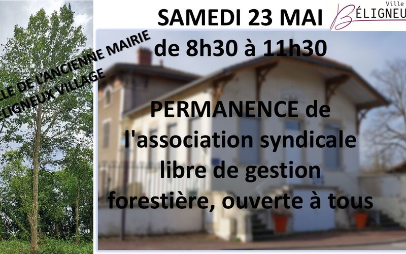 Toutes les actualités de Béligneux
