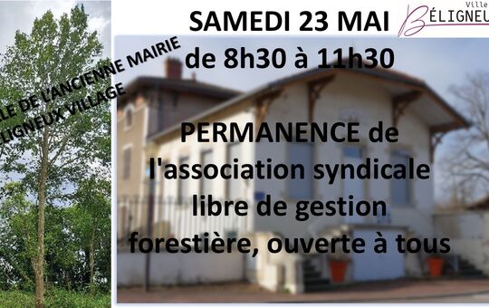 PERMANENCE FORESTIERE