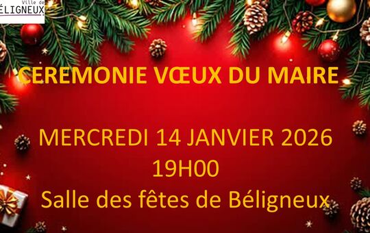 CEREMONIE DES VOEUX DU MAIRE
